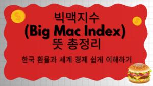 빅맥지수(Big Mac Index) 뜻 총정리 – 한국 환율과 세계 경제 쉽게 이해하기